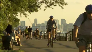 CITY PARKS IN DANGER