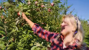 Apple of My Eye