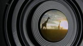 Video thumbnail: NOVA Animal Espionage