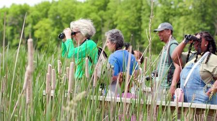Video thumbnail: Wisconsin Life Color in the Outdoors