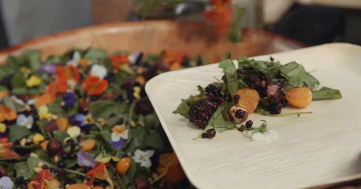 Native America | Make Ohlone Salad | OETA