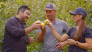 Apples
