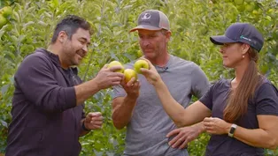 Apples