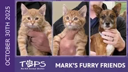 10/30/2025 | Solo, Lyric and Rito | Mark's Furry Friends