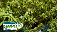 Cannabis Certification Courses and Getting Ready for Wildfire Season: May 14, 2025