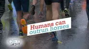 Humans Can Outrun Horses