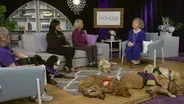 Circle Tail, Inc.