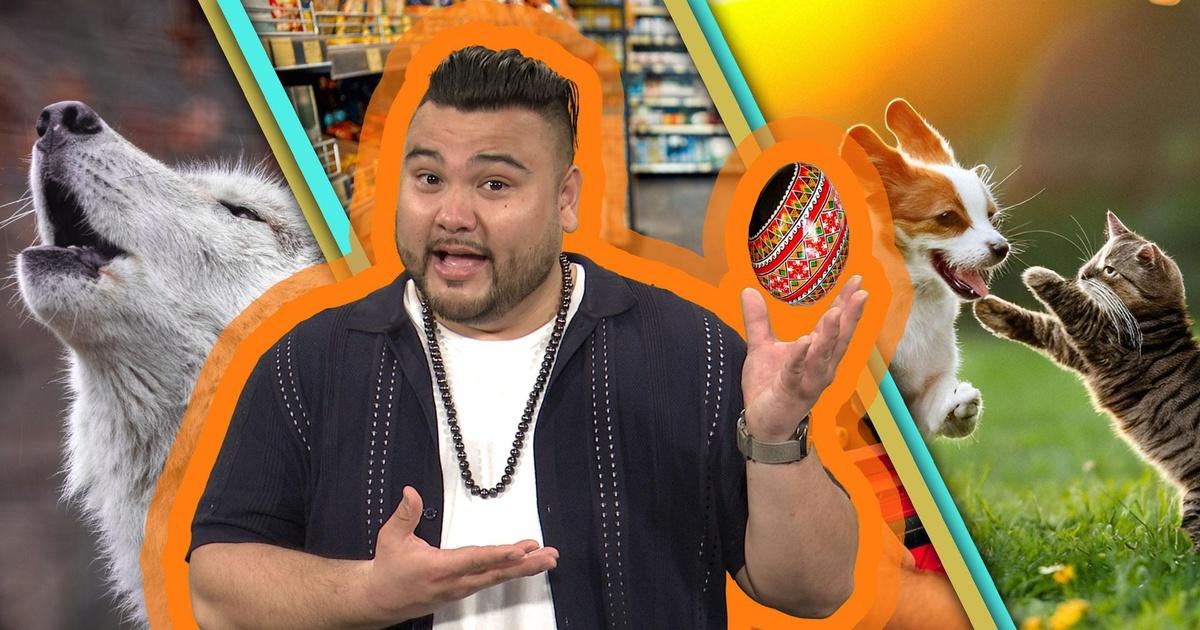 newsdepth-houston-pbs