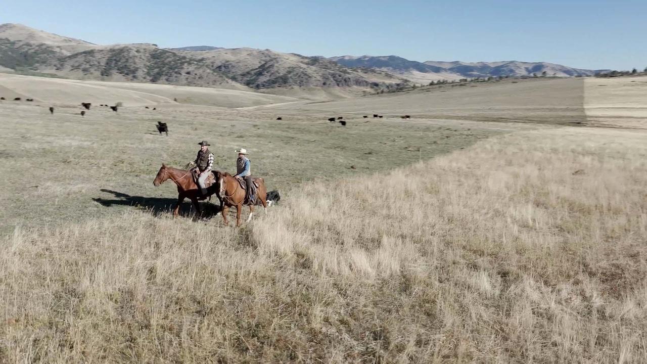 Montana