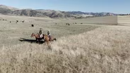 Montana