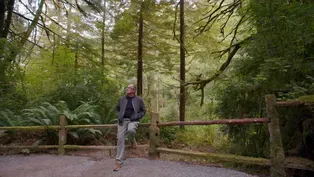 Tom Follows Clues to Northern California