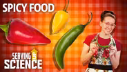 Peppers & Pain: The Spicy Science
