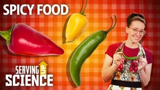 Peppers & Pain: The Spicy Science