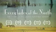 The Story of the Grand Kankakee Marsh
