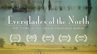 The Story of the Grand Kankakee Marsh