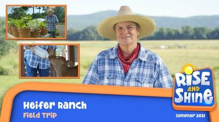 Video thumbnail: Rise and Shine Field Trip Heifer Ranch
