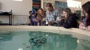 Shipwreck School