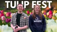 The Story Behind Albany’s Iconic Tulip Festival