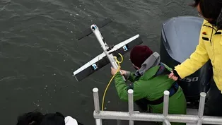 Why Scientists Are "Flying" Kites Underwater