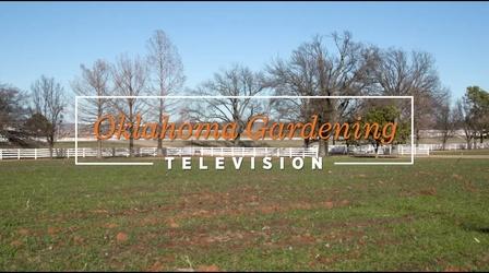 Video thumbnail: Oklahoma Gardening 4934: Oklahoma Gardening February 18, 2023