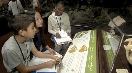 Video thumbnail: Inside California Education School in the Park