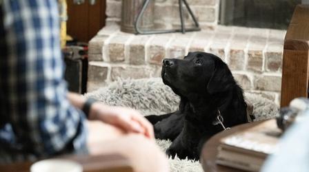 Video thumbnail: After Action Mind, Body, Spirit-Animals