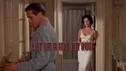 Cat on a Hot Tin Roof