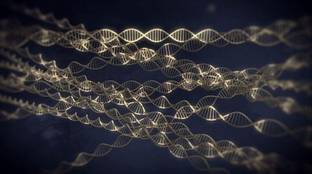 Video thumbnail: The Gene DNA: Read Whole or in Part