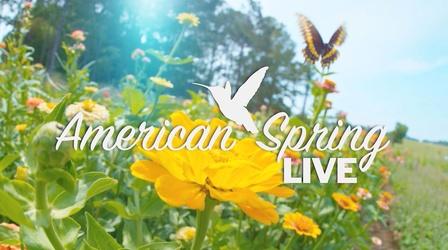 Video thumbnail: Nature American Spring LIVE Trailer