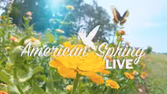 American Spring LIVE Trailer