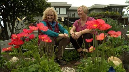 Video thumbnail: A Growing Passion Gardening as a Community
