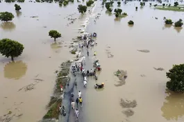 Climate scientists warn steps needed to prevent catastrophe