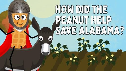 Yellowhammer History Hunt : How Did the Peanut Help Save Alabama?