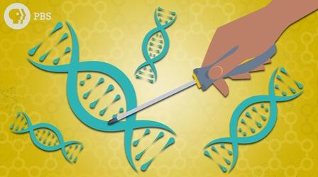 Video thumbnail: Above The Noise Gene Editing & CRISPR: How Far Should We Go?