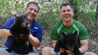 Meet Chris & Martin Kratt, Hosts of Wild Alaska Live