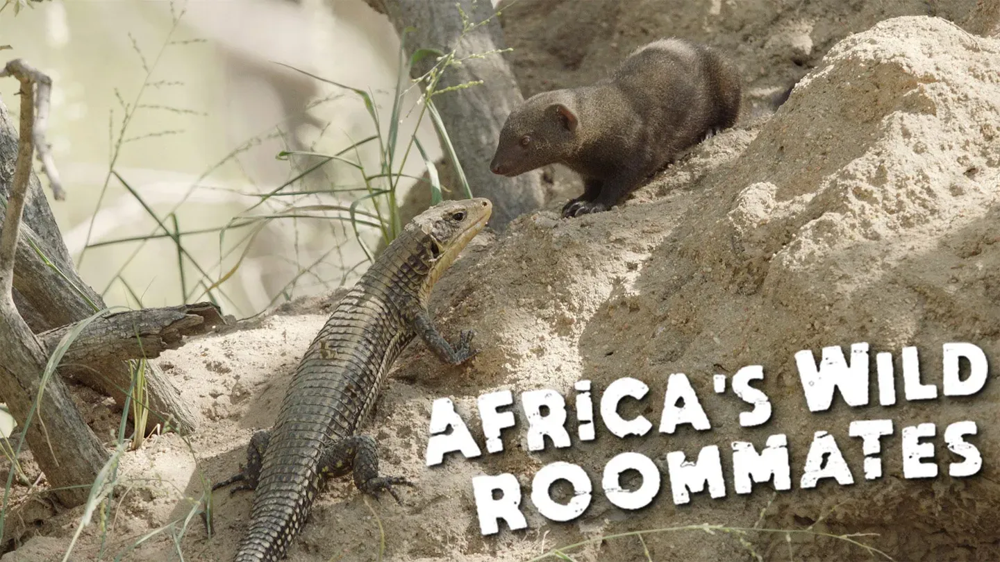 Africa's Wild Roommates: How Animals Share Bed and Board