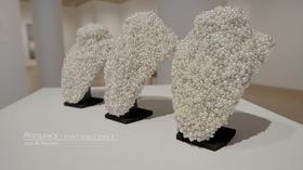 Video thumbnail: Broad and High Artist Julie Abijanac's Creative Journey