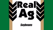 Soybeans