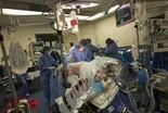 Government announces organ transplant system overhaul plan