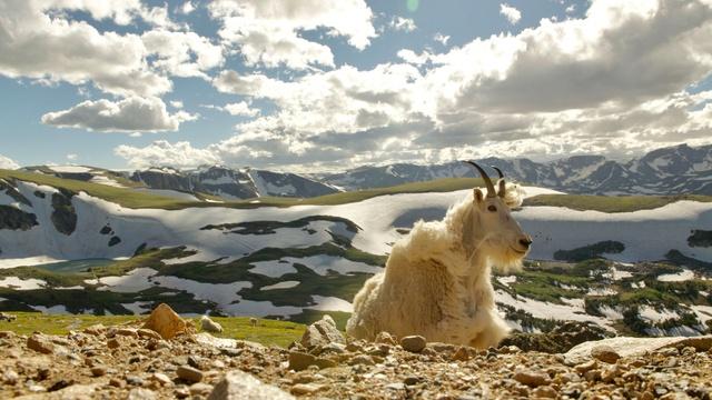 Nature | Growing Up | Born in the Rockies