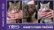 3/26/2026 | Sugar, Skippy and Rosie | Mark's Furry Friends Extra