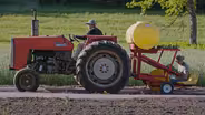 Hay River Pumpkin Seed Oil Farm
