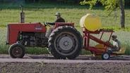 Hay River Pumpkin Seed Oil Farm