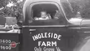 History of Ingleside Vineyards