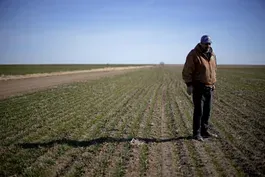 ‘Gaining Ground’ highlights effort to reclaim Black farmland