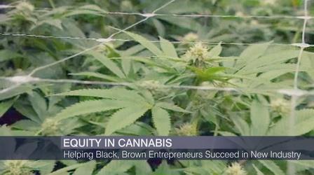 Video thumbnail: Chicago Tonight: Black Voices Helping Black, Brown Entrepreneurs Succeed in Pot Industry