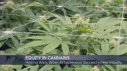 Helping Black, Brown Entrepreneurs Succeed in Pot Industry