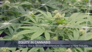 Helping Black, Brown Entrepreneurs Succeed in Pot Industry