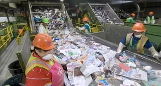 Green Seeker: Recycle Right?