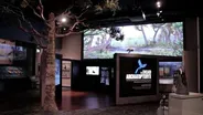 Chicago Archaeopteryx Exhibit Opens at the Field Museum